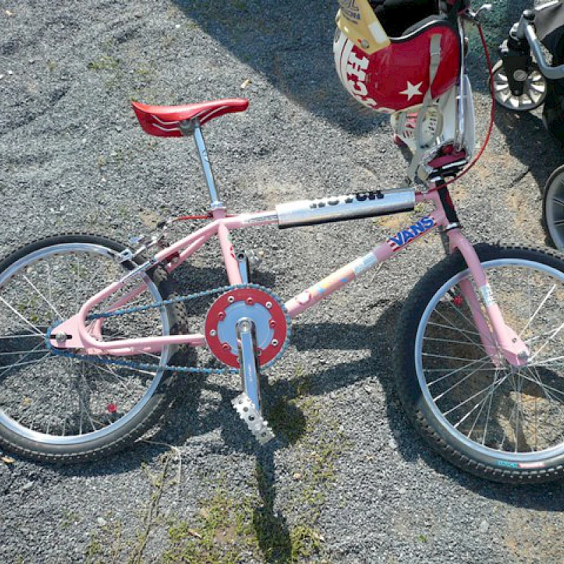 2010-stuebner-1.jpg